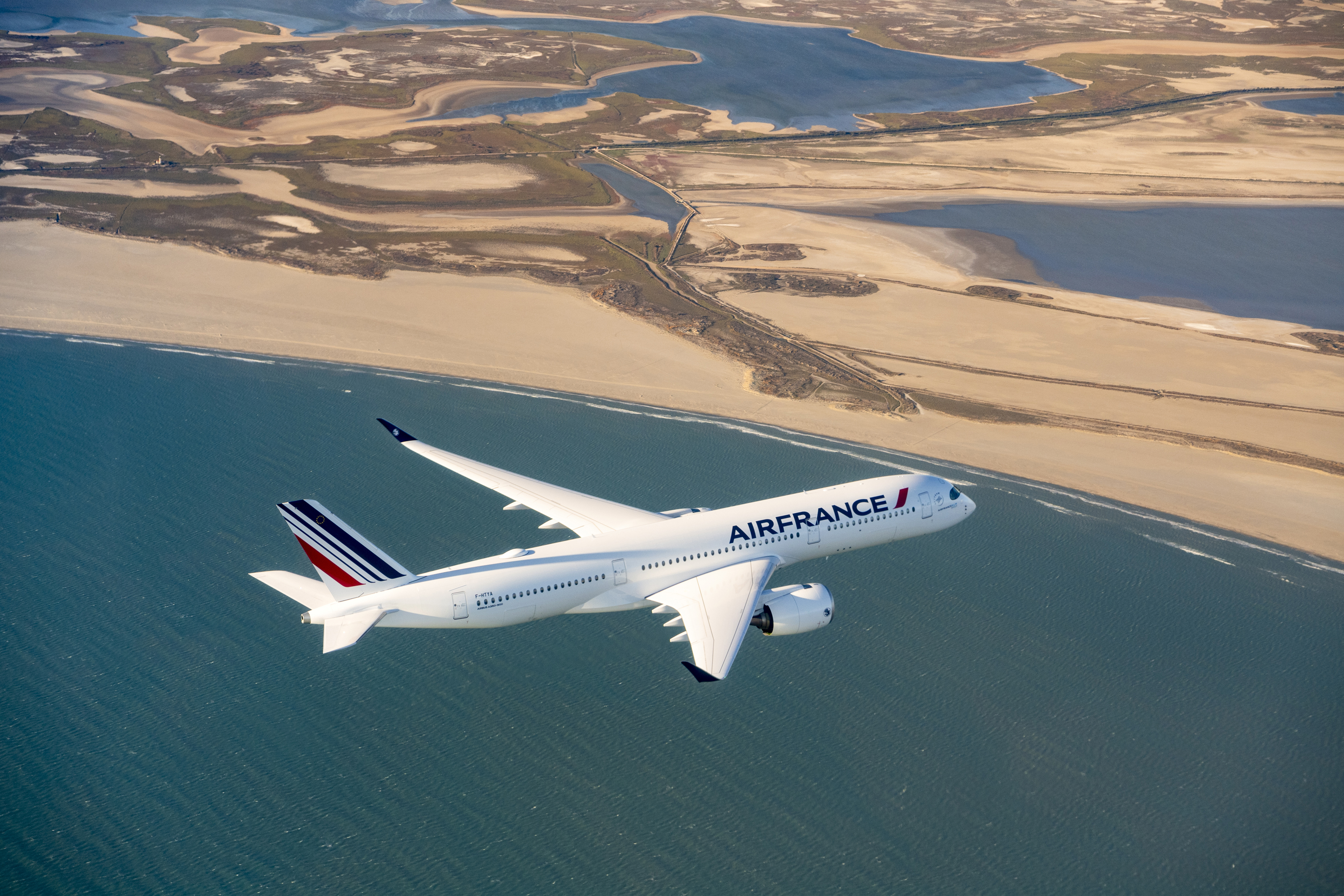 Delta and Air France Tails